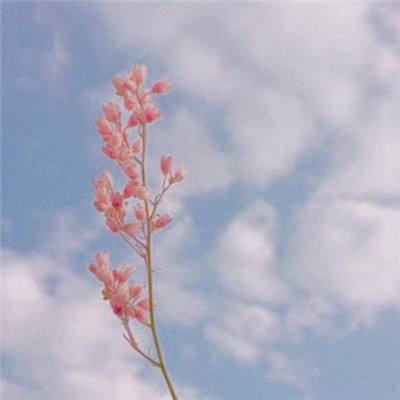 乐鱼官方app下载