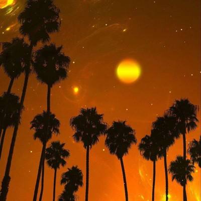 必威体育西汉姆体育